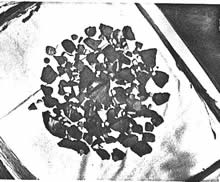 photograph of broken pottery found at the site of the old fort