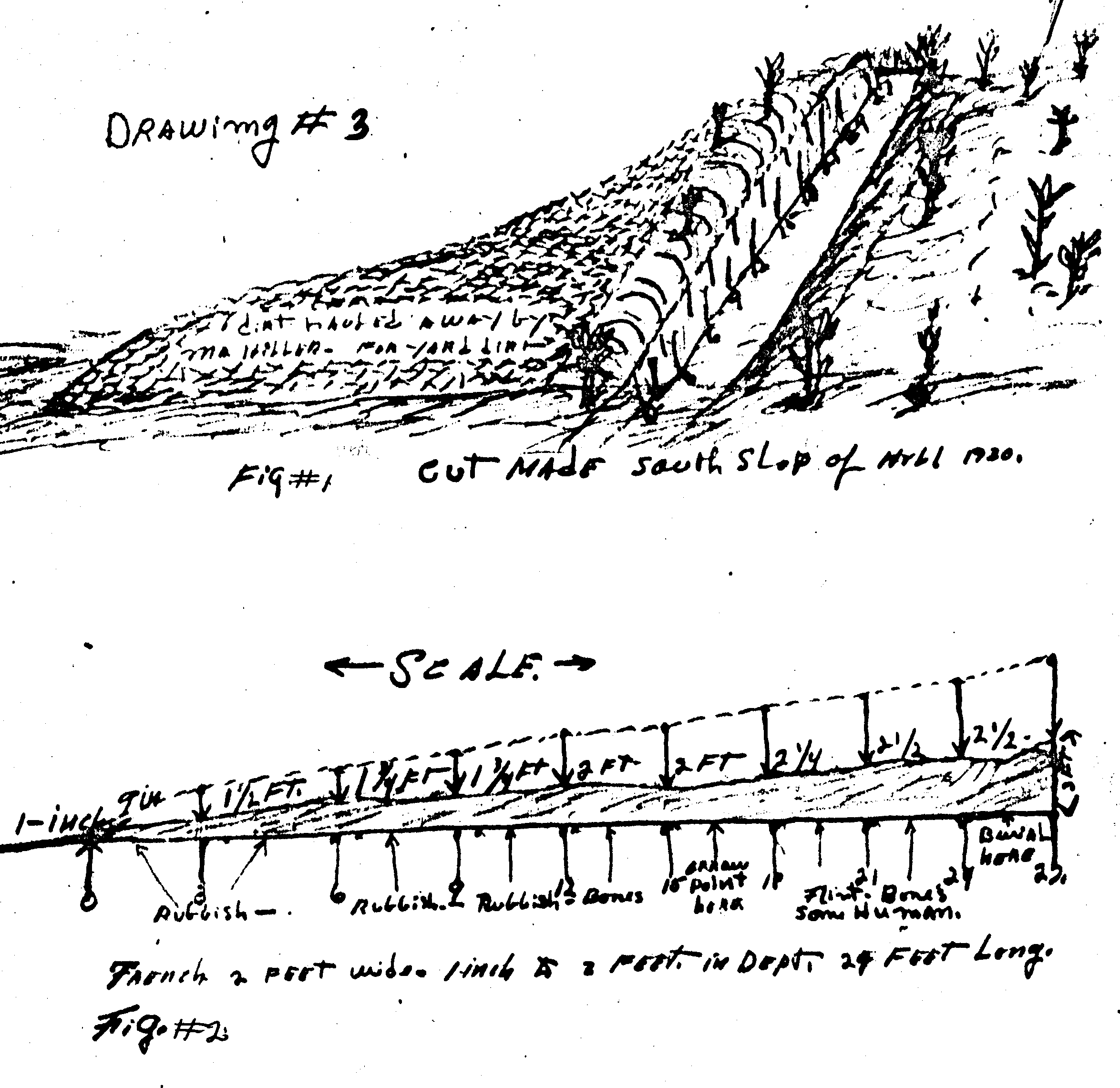 Drawing #3 of trenches dug for archeological study - Toncahua village