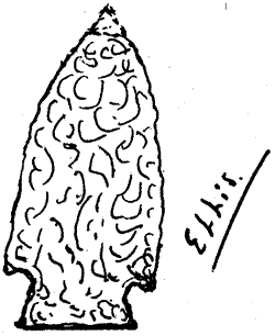 Drawing of arrowhead (note on side "Ellis")