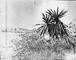 Photograph of Fort La Bahia on Garcitas Creek 1924